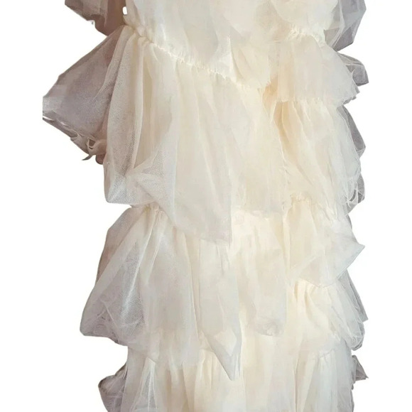 The Post Tiered Mesh Chiffon Ruffle Knee-Length Dress - Picture 6 of 12